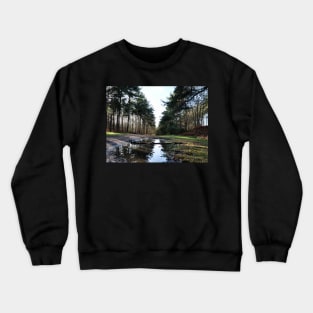 Reflection in Swinley Forest Crewneck Sweatshirt